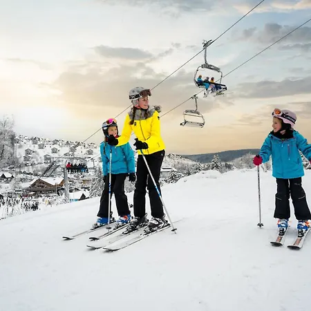 Landal Tatil parkı Winterberg